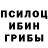 Галлюциногенные грибы GOLDEN TEACHER Reily Bautista