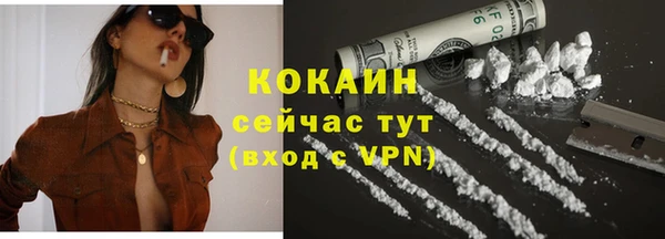 mdpv Богданович