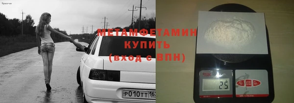 прущие грибы Бронницы