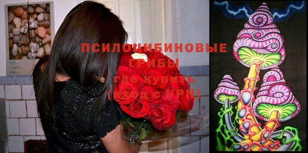 метадон Богородск