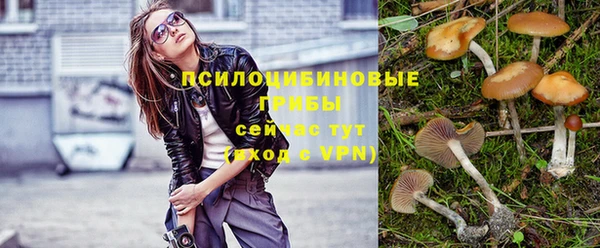прущие грибы Бронницы