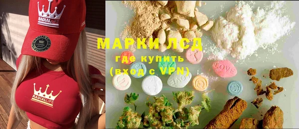 прущие грибы Бронницы