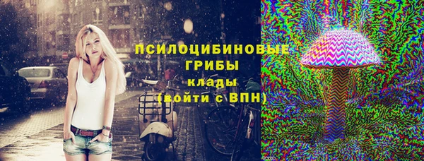 mdpv Богданович