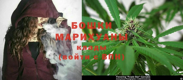 индика Белокуриха