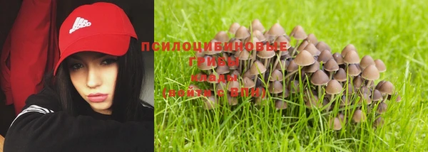 мескалин Богородицк