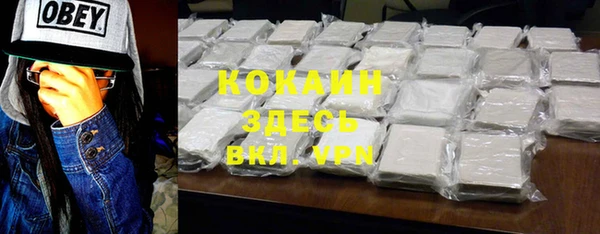 мескалин Богородицк
