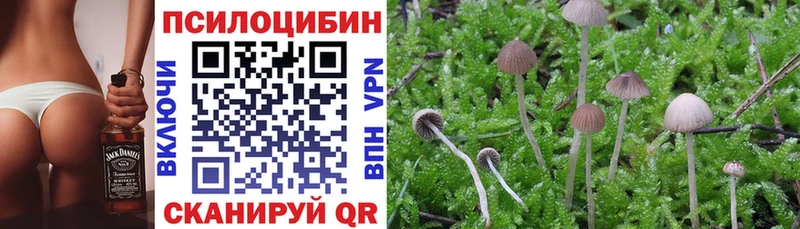Псилоцибиновые грибы ЛСД наркотики Волосово